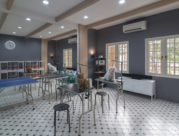 咖啡館寵物店裝修注意事項(xiàng)?